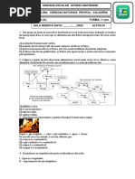 7º ano