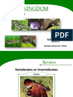 Vertebrates: Animal Kingdom