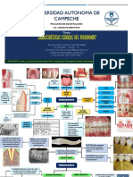 Caracteristicas Del Periodonto - KJGG