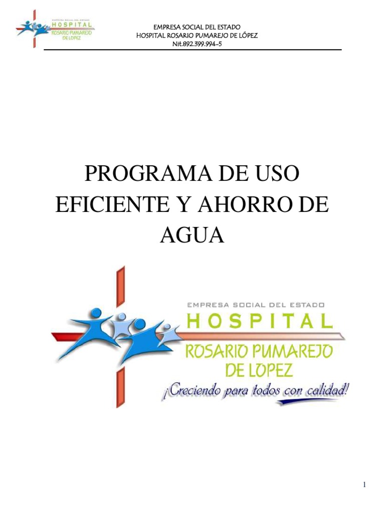 Programa de Uso Eficiente y Ahorro de Agua | PDF | Hospital | Agua