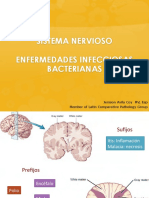 Bacterianas