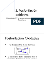 Cadena Respiratoria