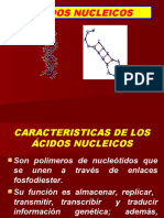 ACIDOS NUCLEICOS 07 - CPU (2)