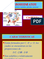 Carbohidratos 03 - Cpu.