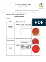 Resultados bacteriológicos de Staphylococcus aureus, Enterococcus faecalis, Streptococcus viridans, Haemophilus influenzae y Klebsiella pneumoniae