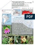 1393_brazil_passiflora_da_chapada_do_araripe_en