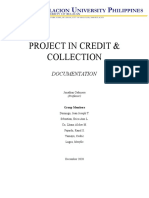 Project in Credit & Collection: Documentation