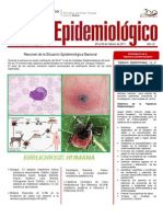 Estadísticas de Salud. Venezuela. Boletín Epidemiológico. Semana 08 del 20 al 26 de febrero 2011. Ministerio de Salud de Venezuela