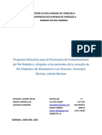 Proyecto Enfermería Pie Diabetico