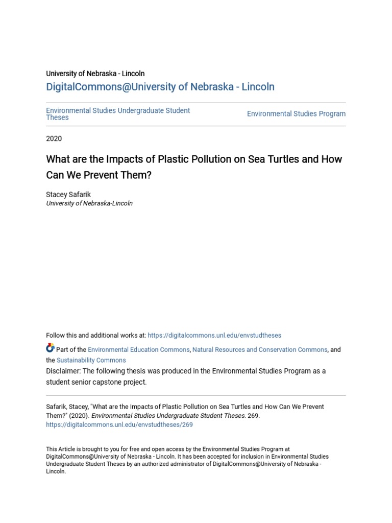 What Are The Impacts of Plastic Pollution On Sea Turtles and How | PDF ...