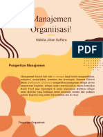 Manajemen - Organisasi Pma Pmo