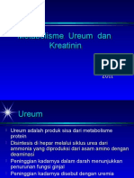 Metabolisme Ureum Kreatinin