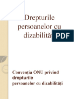 Drepturile Persoanelor Cu Dizabilități