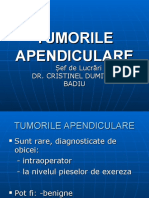 2. Tumorile apendiculare