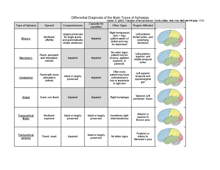 Aphasia: Differential Diagnosis – IRYZ