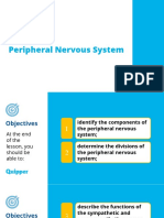 Peripheral Nervous System: Lesson A1.3