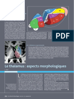 Anatomie Morphologique Du Thalamus - Pr Tatu