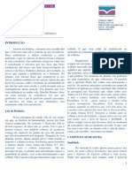 A Lei Da Semeadura - 4 PG