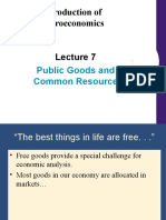 Lecture 7 - Public Goods and Common Resource