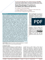 Occipital Knob Morphological Variations in Human Dried Skulls and Clinical Perspectives