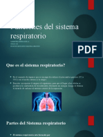 Funciones Del Sistema Respiratorio