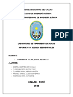 Informe 10 Aguas Terminado