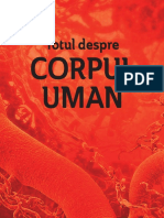 Totul Despre CORPUL UMAN