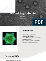 Bacteriofag Phix174