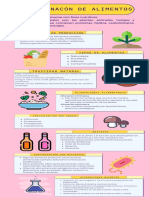 Contaminacón de Alimentos Infografia