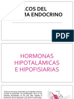 Sistema Endocrino