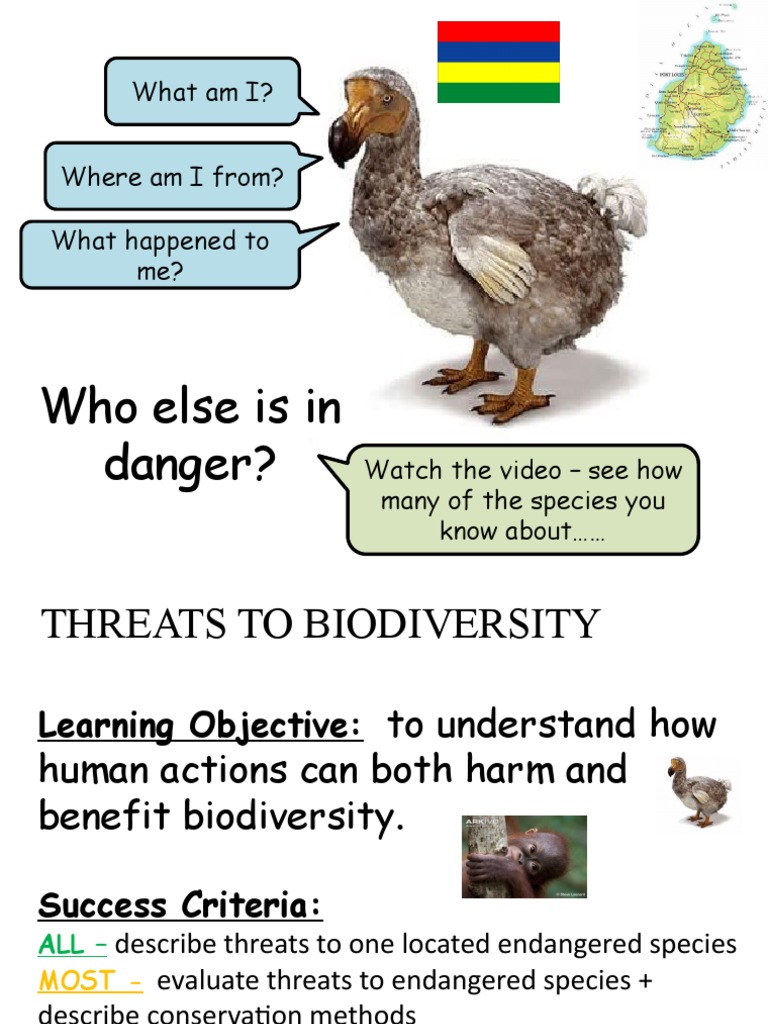Understanding Biodiversity Threats and Conservation | PDF | Endangered ...