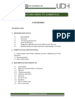 Estudio Impacto Ambiental construcción puente Uruya