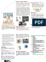 Triptico Informativo Cultura Cientifica Eso 4