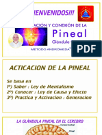 Pineal Activacion