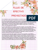 Flujo de Efectivo Proyectado.pdf3 (1)