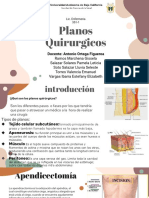 Planos Quirurgicos