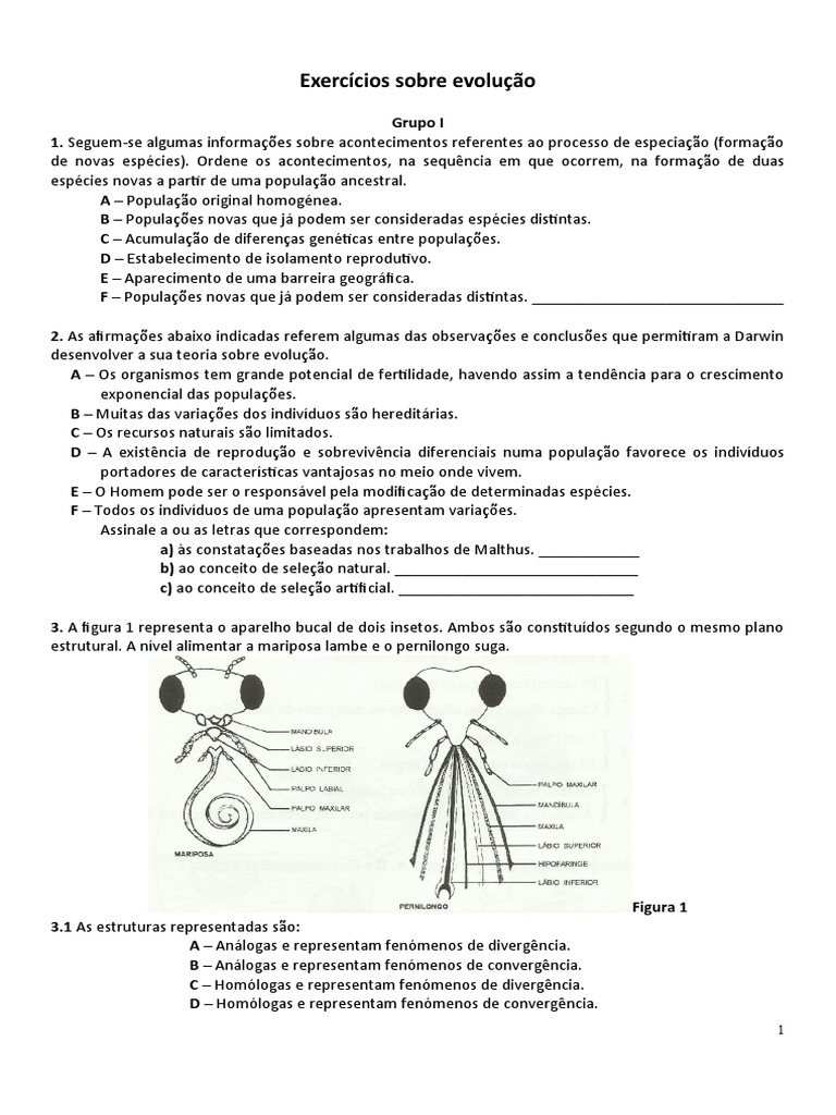 Exercícios Sobre Evolução | PDF | Evolução | Seleção Natural