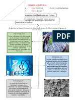 Examen Quimestral Biologia.