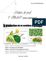 Les Echanges Gazeux Chlorophylliens Et La Production de La Matiere Organique Cours (1) Hajar Haniiini
