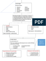 Seguridad y Salud Alejandra Doc1