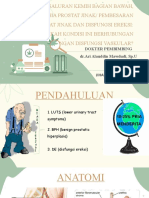 Dokter Pembimbing DR - Ari Alauddin Mawdudi, Sp.U