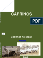 ZOOG 15 2021 Caprinos