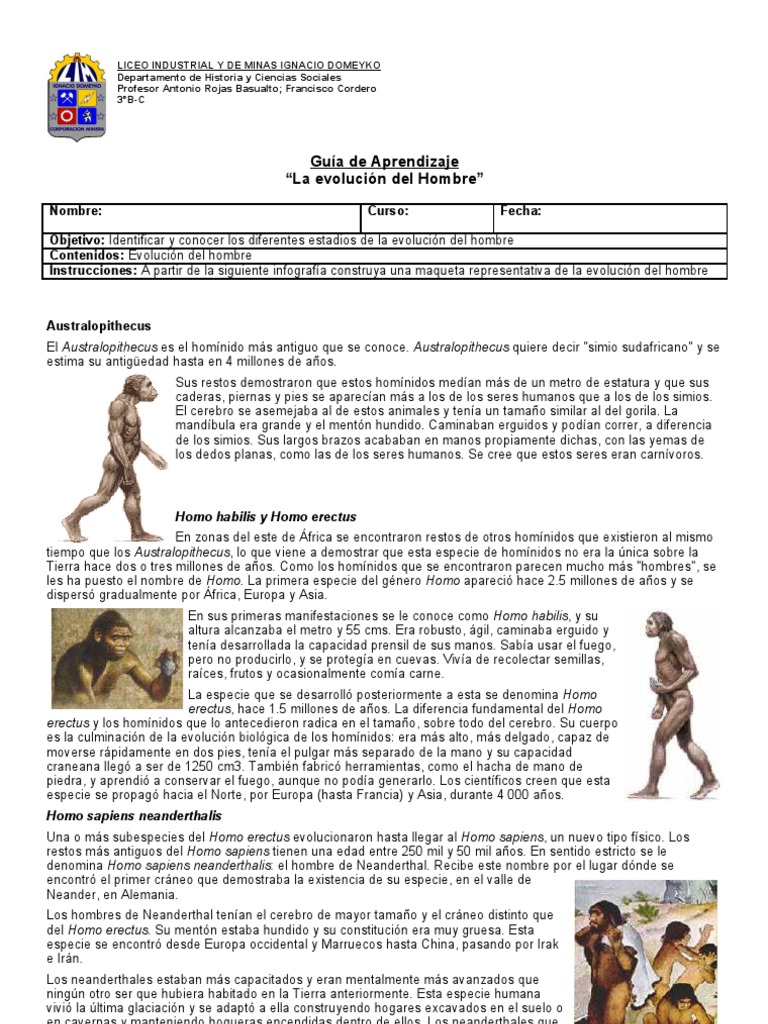 Infografia Evolucion Del Hombre | Homo | Evolución humana