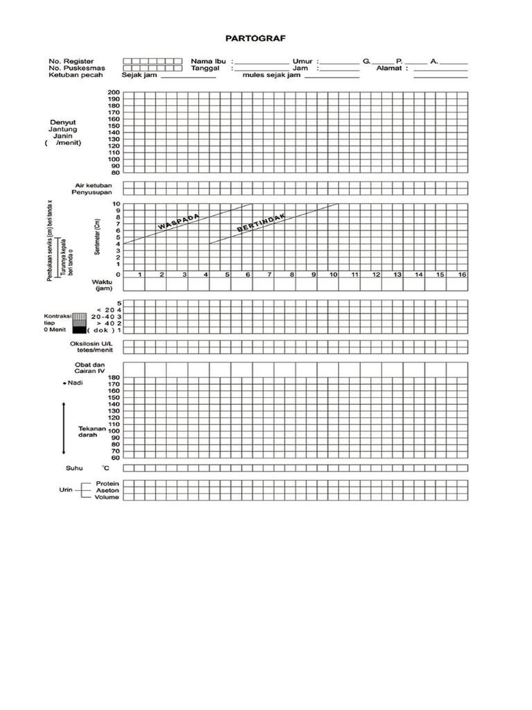 Format Partograf | PDF