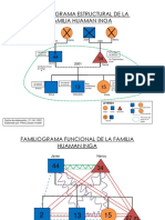 Ficha Familiar