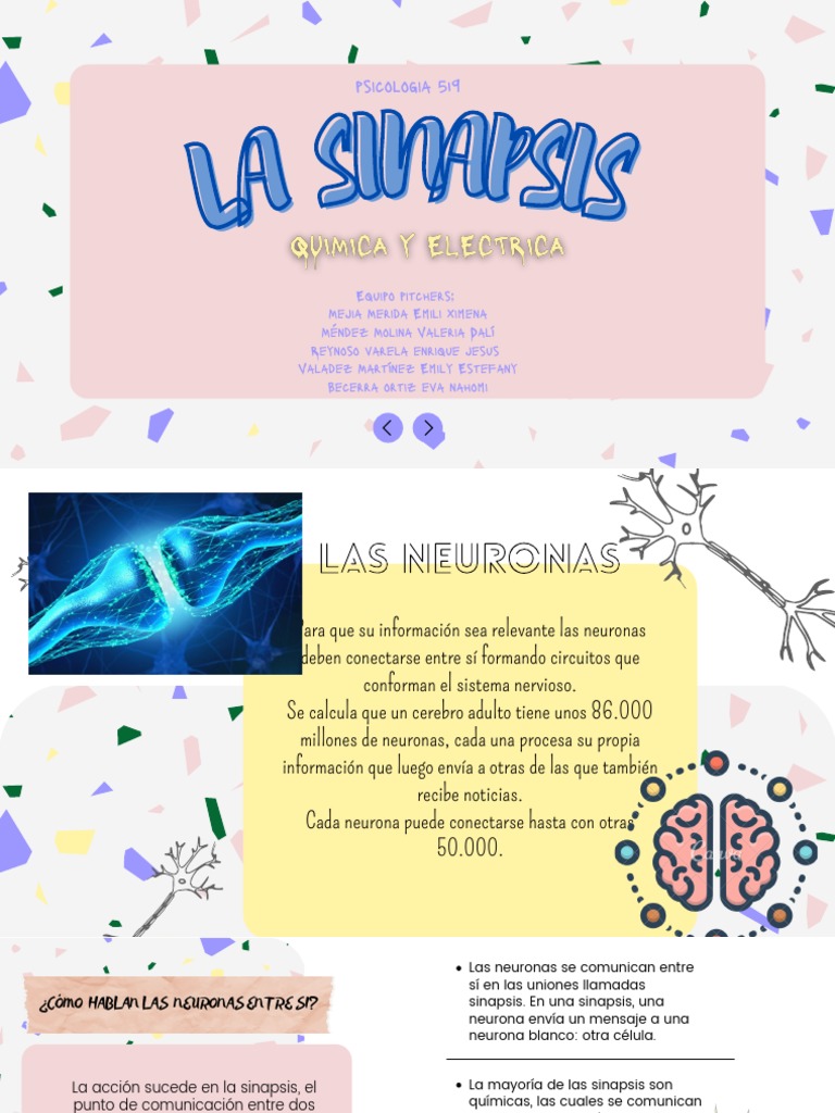 Sinapsis: Química y Eléctrica en Neuronas | PDF | Sinapsis | Neurona