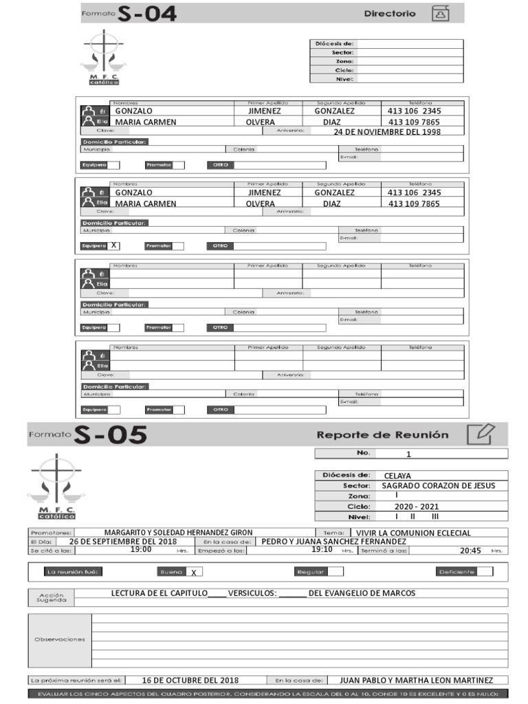 Formato S-05 Calificacion | PDF