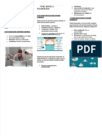 PDF El Estres Laboral Trifolio - Compress