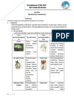 4 - S1 Plant Reproduction - S