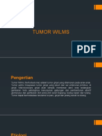 PPT Wilm's Tumor